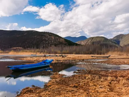 ווינינג קזינו אפליקציה לנייד